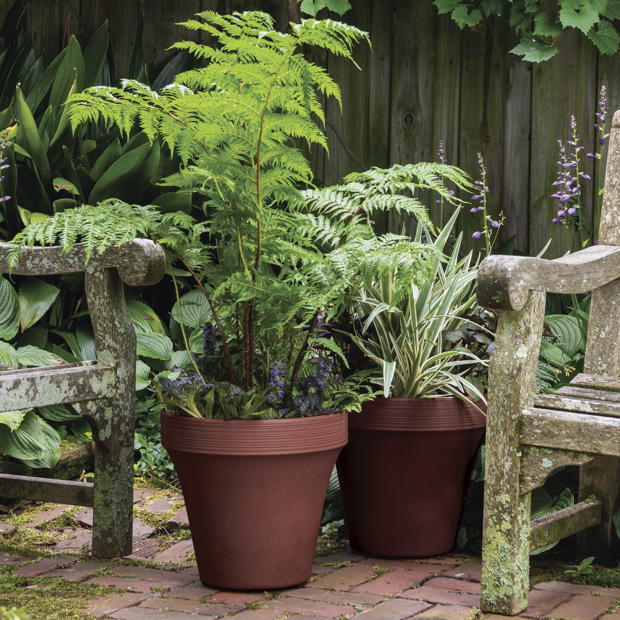 Ridge Planters in Autumn Circular color