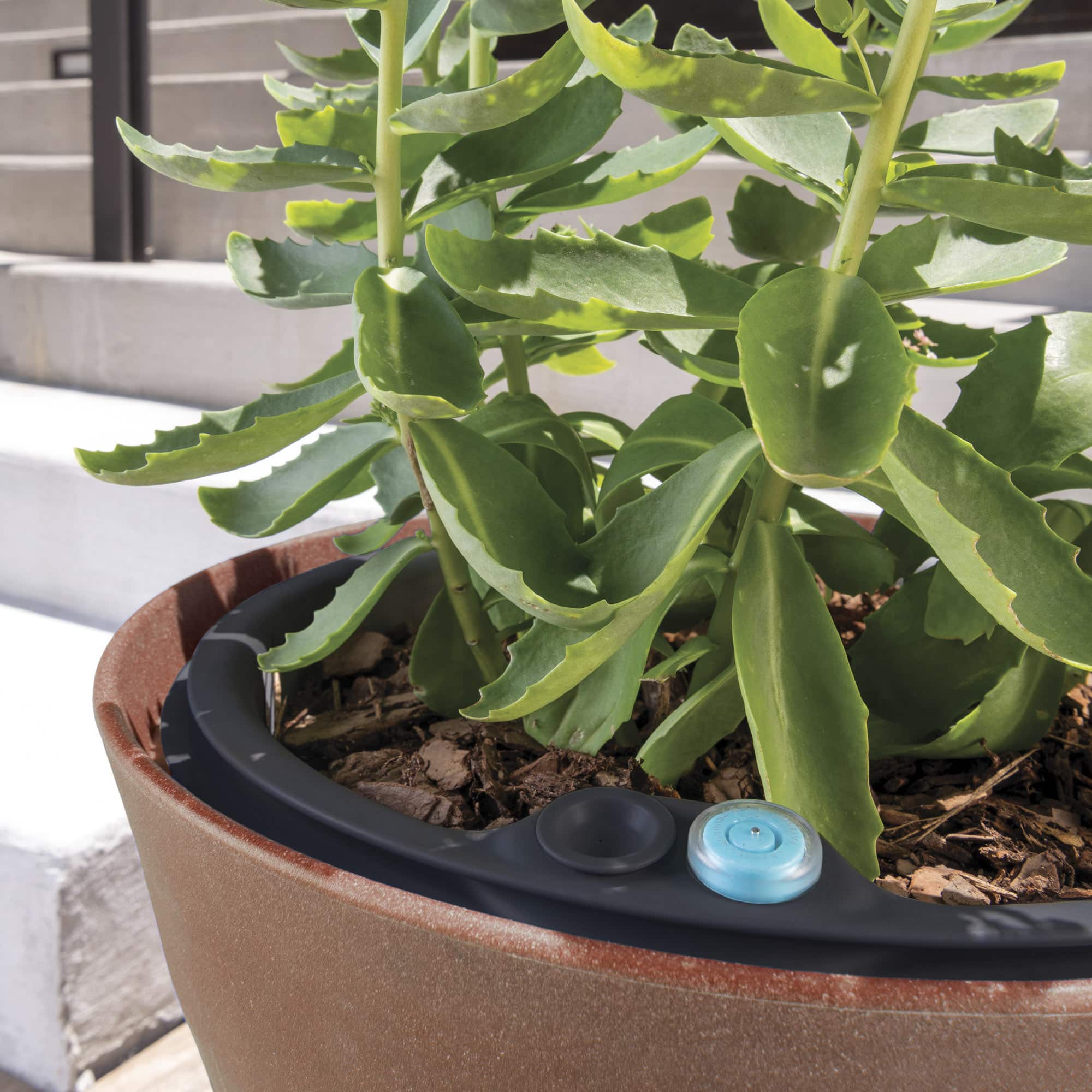 Close up of step planter with TruDrop insert