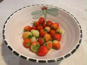 What plants to grow to use for cooking - Strawberry bowl