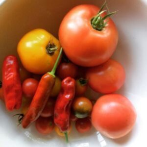 What plants to grow to use for cooking - Tomato & Pepper Harvest