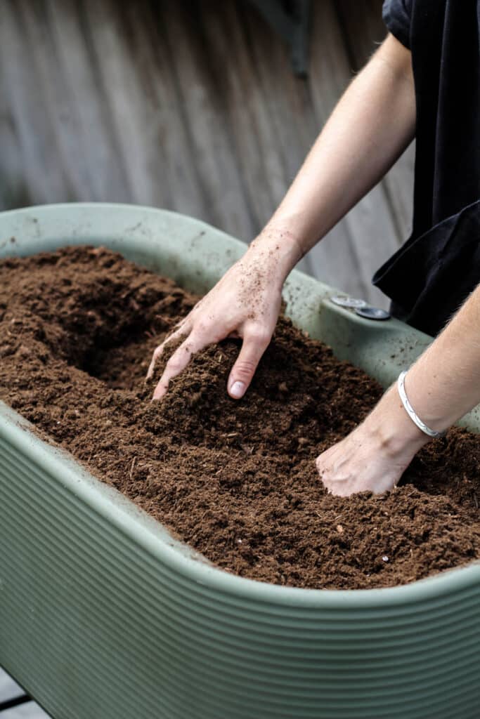 Potting soil in planter