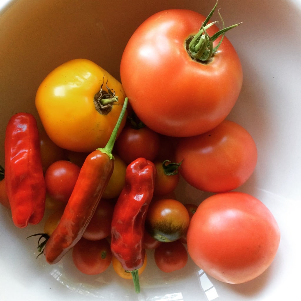 Tomatoes and peppers in a bowl