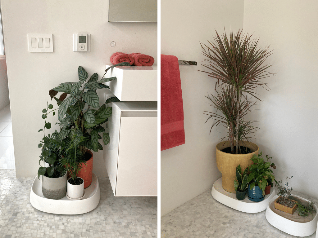 Plant trolleys can be placed in the bathroom or by the dresser.