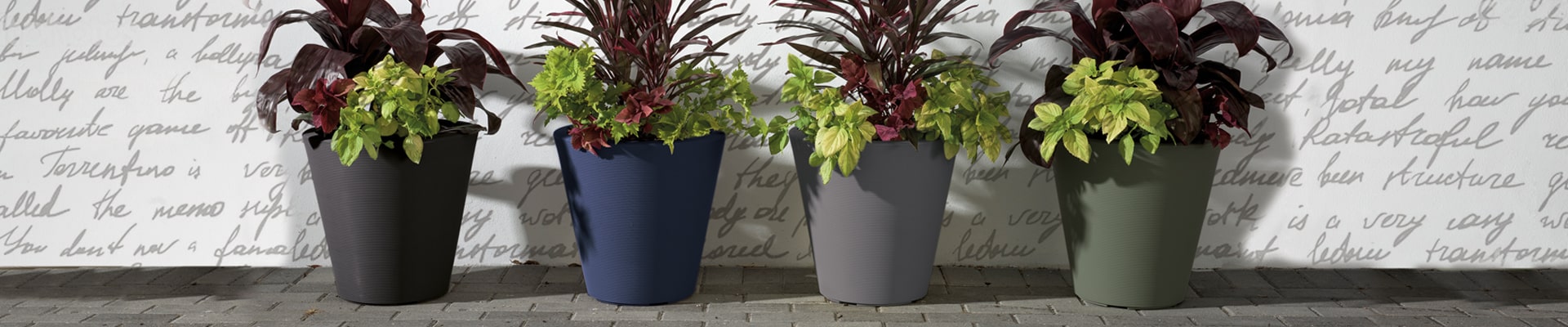 Beautiful round modern planter pots with tropical plants against a wall