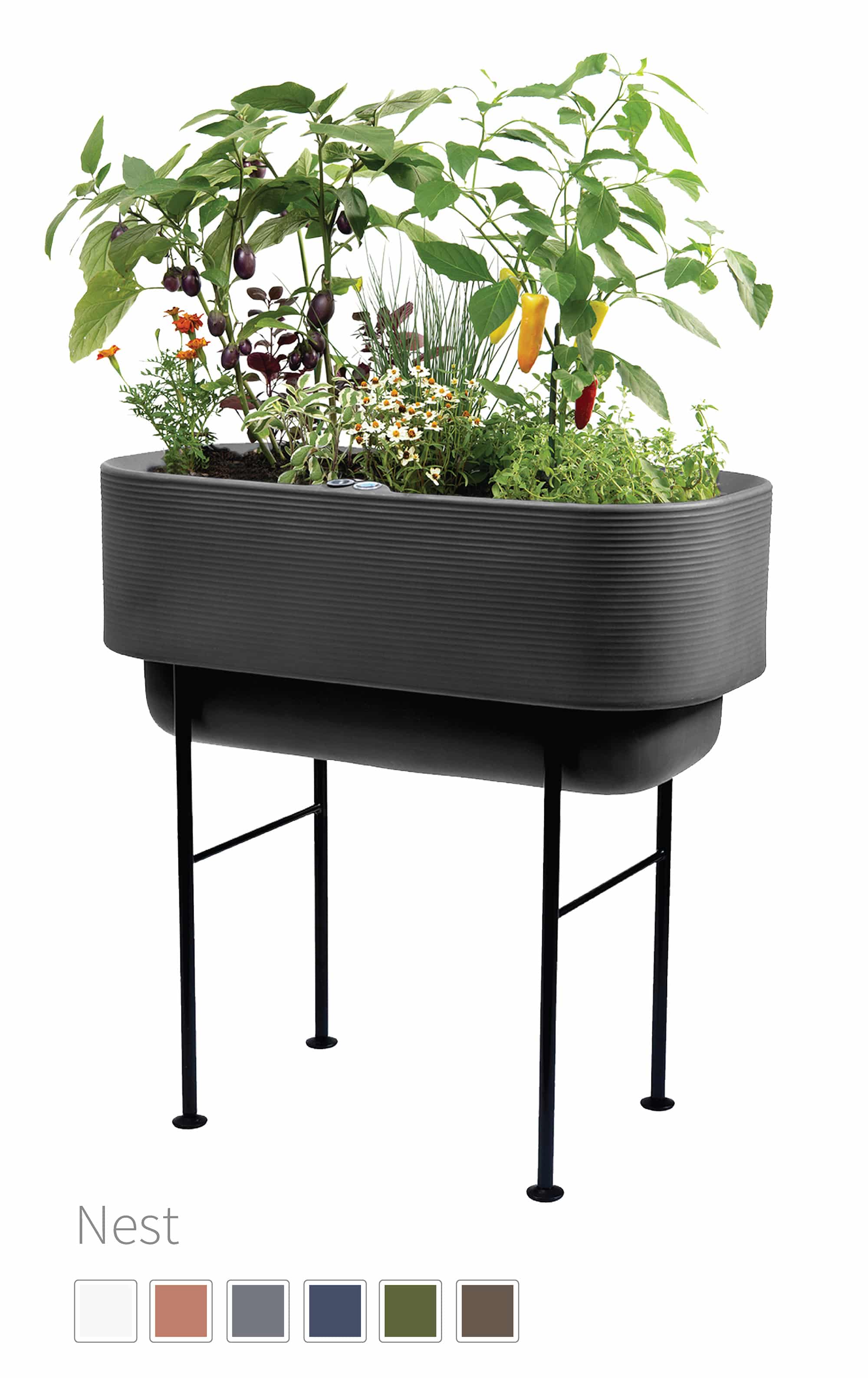 Black Nest Planter