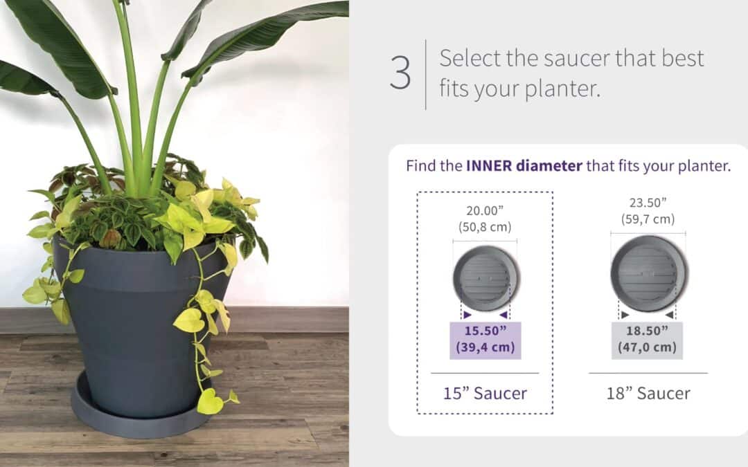 How to Choose the Perfect Saucer Size for Your Planter