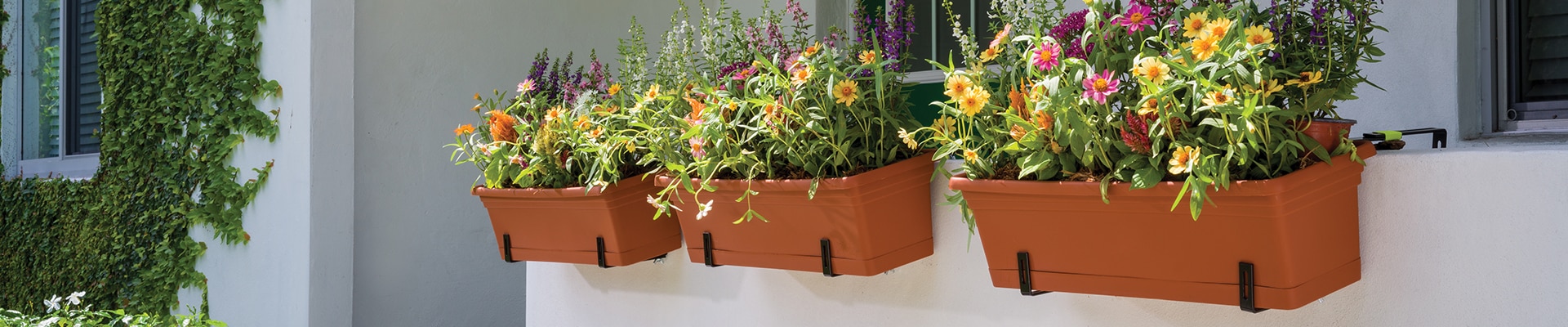 Emma Rectangular planters in terracotta